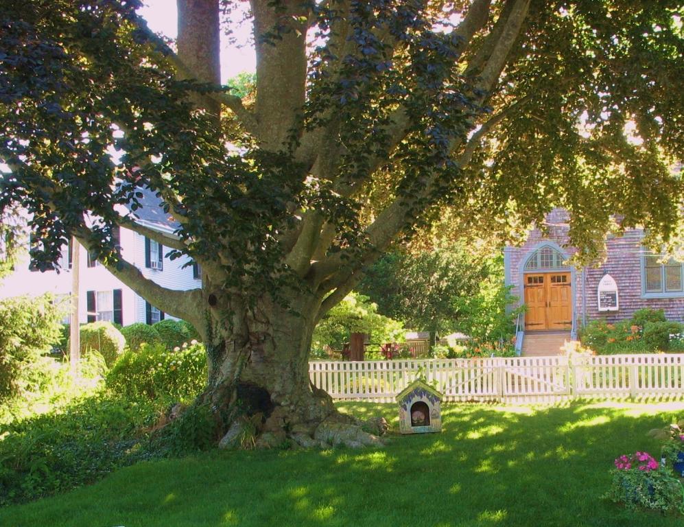 The 1720 House Bed & Breakfast Vineyard Haven Eksteriør bilde